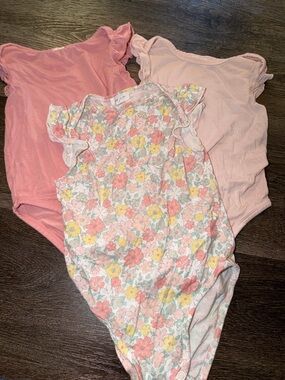 Angel Dear 18/24 Girls Floral & Pink Ruffle Sleeve Bodysuit Set